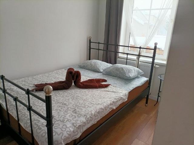Apartament Fly Adventures- dom wędkarza Leśna Zewnętrze zdjęcie